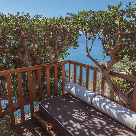 Posea Collection Ponente