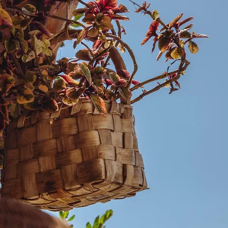 Villa Villapositano Ponente *