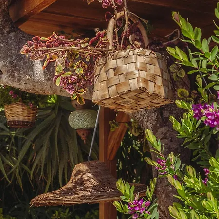 Posea Collection Ponente 别墅